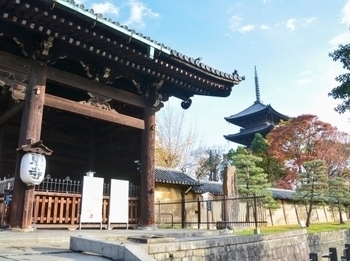 五重塔の東寺さんへ 一般観光 修学旅行ガイドの京都sky観光ガイド協会 五重塔の東寺さんへ 一般観光 修学旅行ガイドの京都sky観光ガイド協会