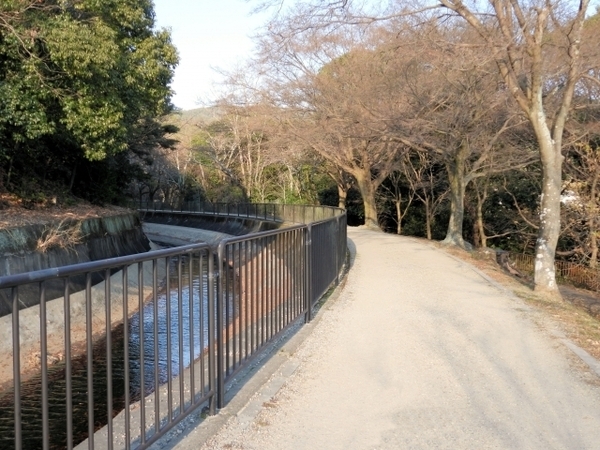 山科疏水_コピー