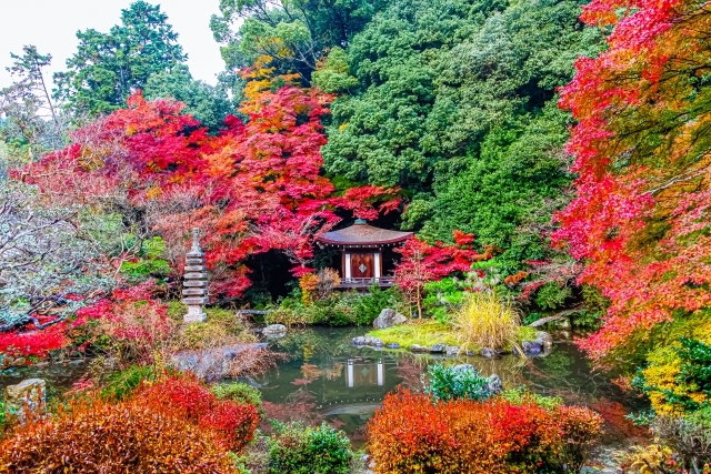 C　毘沙門堂晩翠園