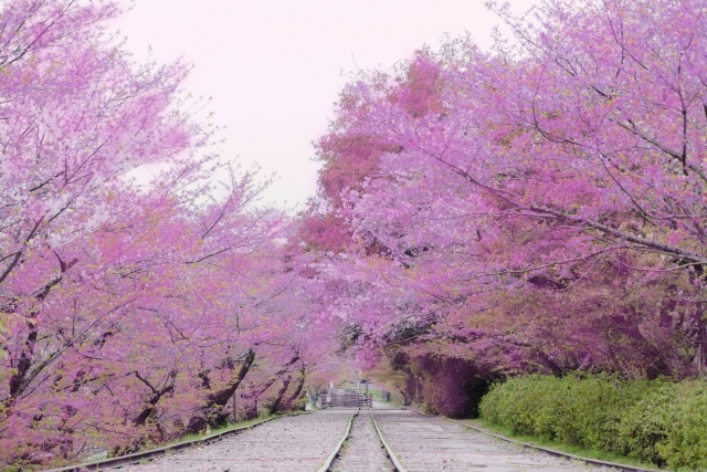 C　インクライン