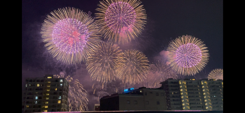 IMG_8560_コピー