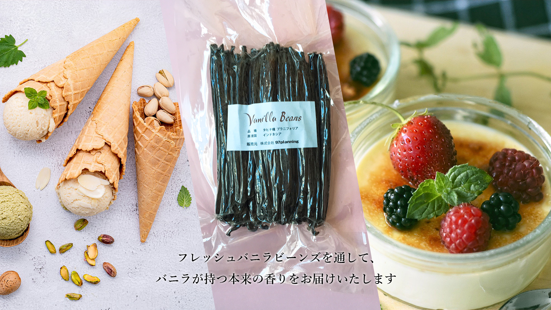 バニラビーンズ専門店】バニラビーンズ 250g Aグレード ブルボン バニラビーンズ専門店】バニラビーンズ 250g Aグレード ブルボン