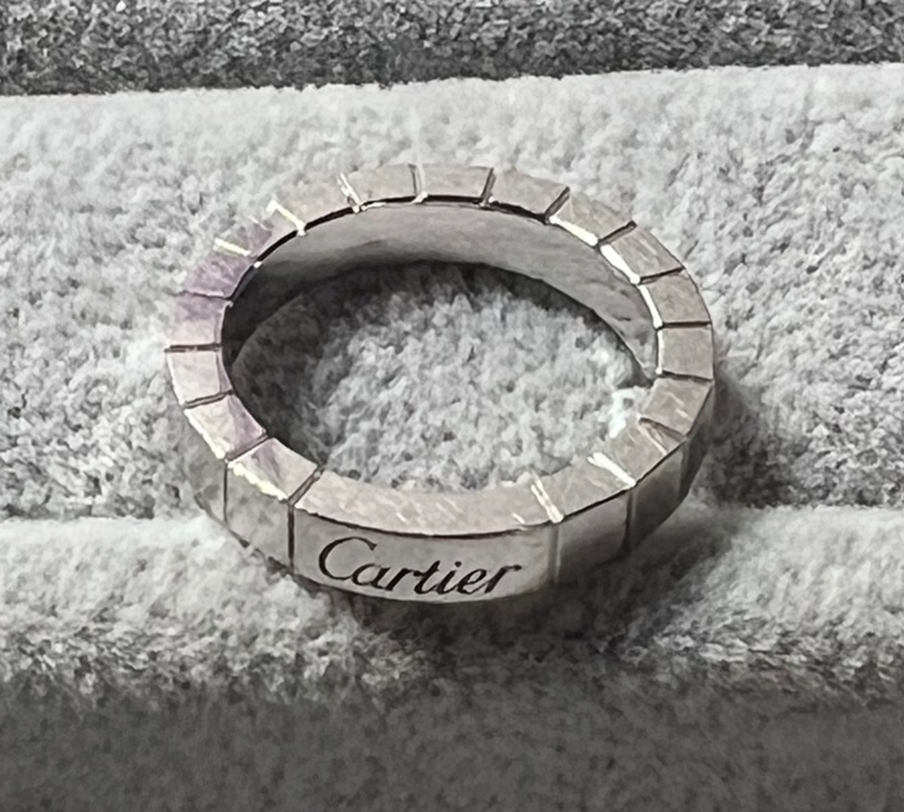 WGラニエール修理前