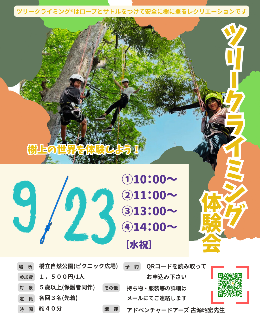 樹上の空間を体験する (3)