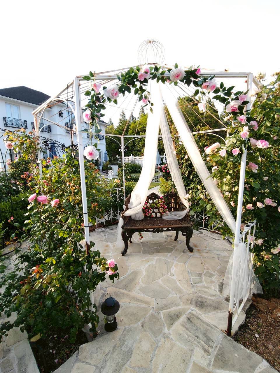 LINE_ALBUM_薔薇が咲いた_260514_1