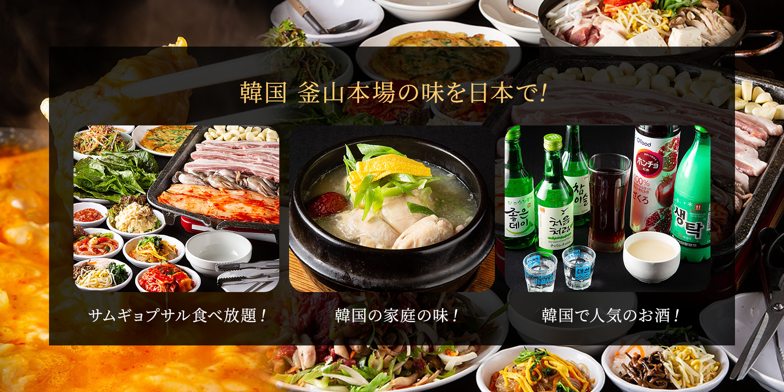 釜山亭 韓国 本場釜山の焼肉を日本で 博多 天神 香椎 薬院 福岡市 釜山亭 韓国 本場釜山の焼肉を日本で 博多 天神 香椎 薬院 福岡市