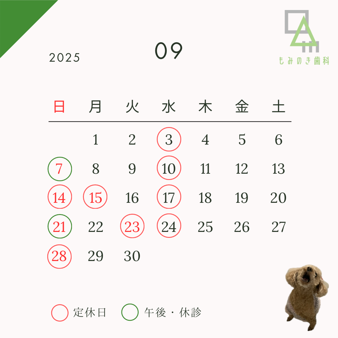 定休日