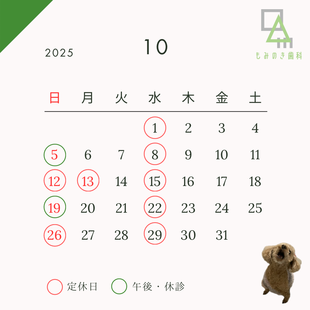 定休日