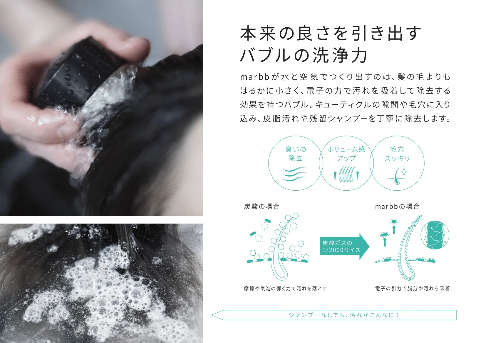 22_ringpop_P5-2-1 (1)