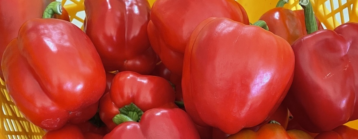 4_コピー_コピー