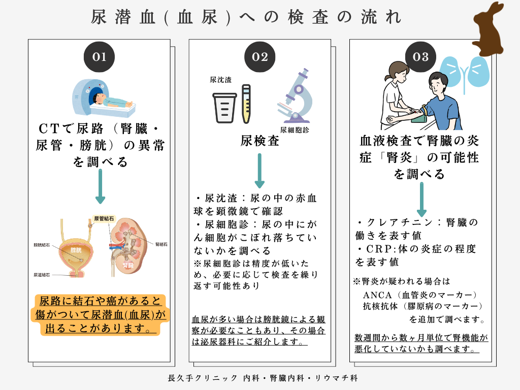 顕微鏡的血尿