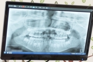 1427088_m_コピー_コピー