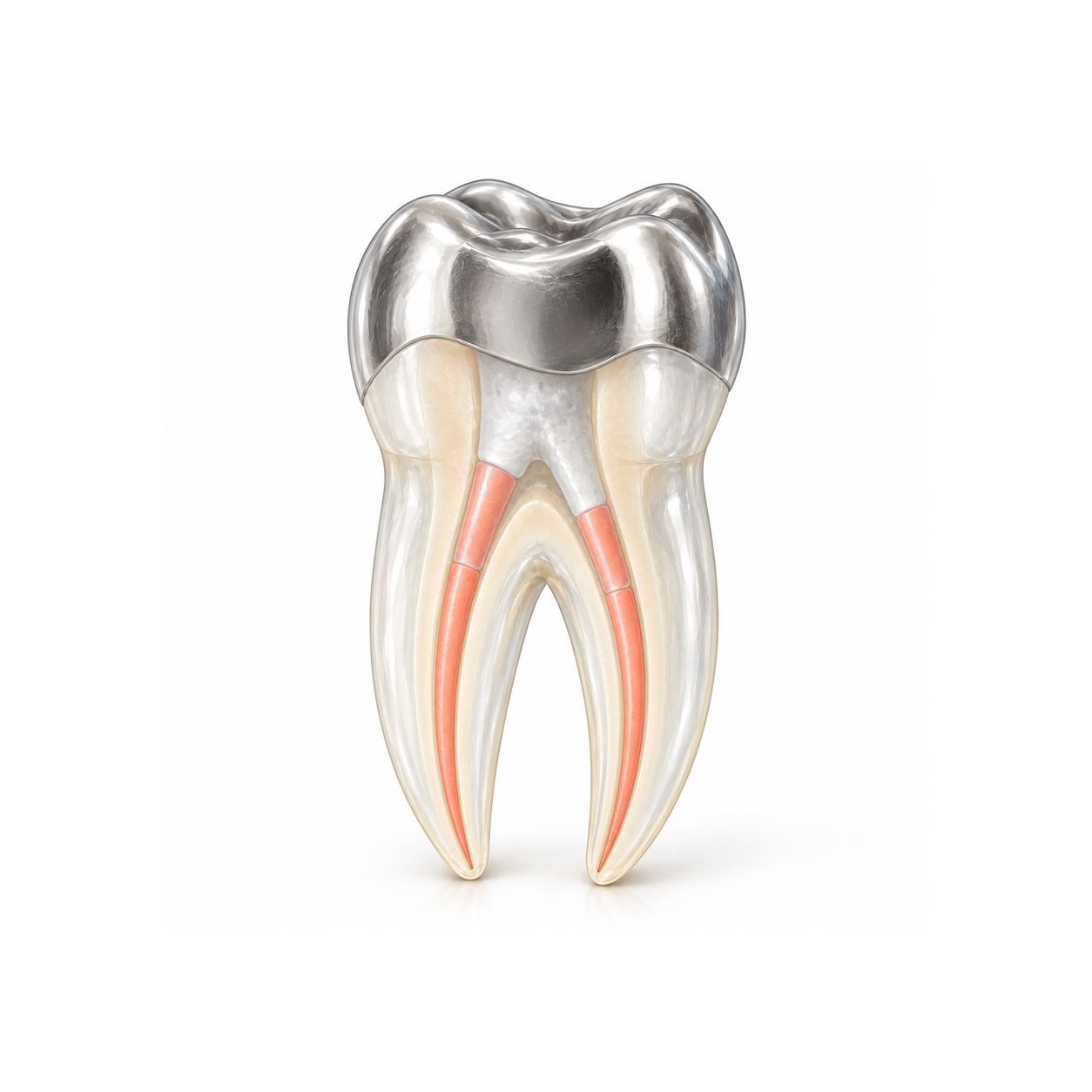 root_canal_retreatment