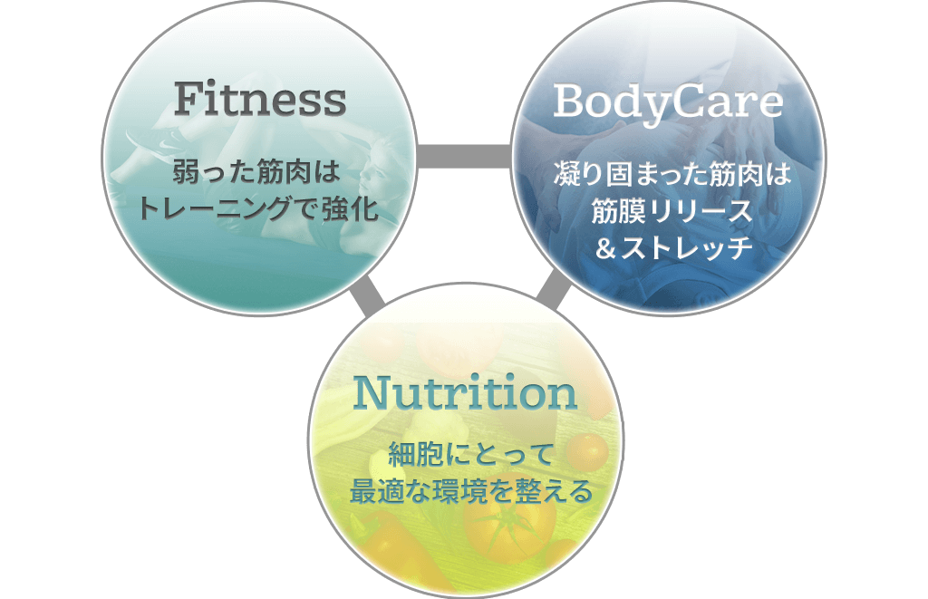 ダイエット ボディメイクならパーソナルジムfunsfit Azabu 港区南麻布にある完全予約制のジム ダイエット ボディメイクならパーソナルジムfunsfit Azabu 港区南麻布にある完全予約制のジム