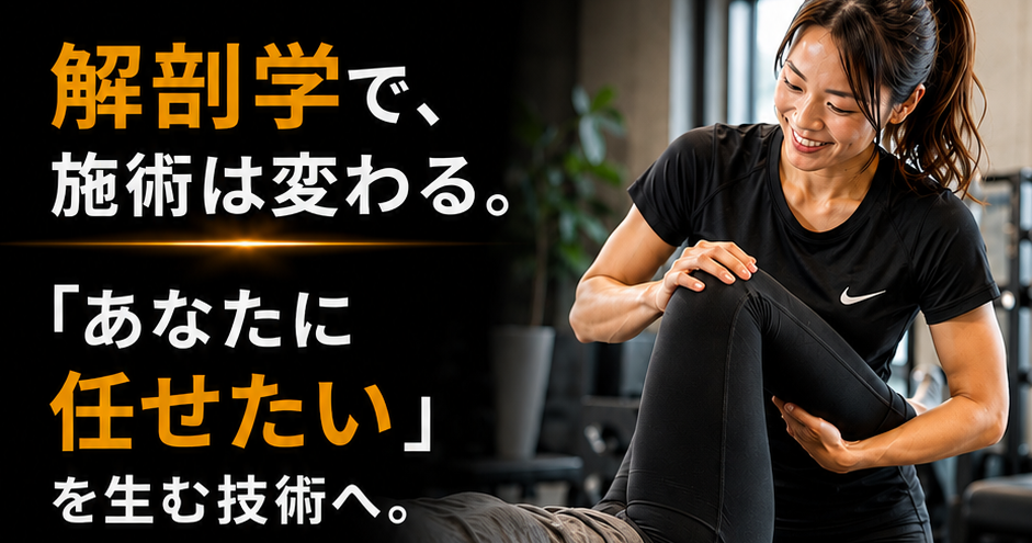 ストレッチの解剖学と手技イメージ2026081_コピー