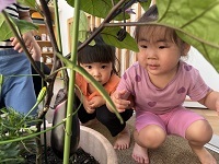 ６月行事お様子表紙