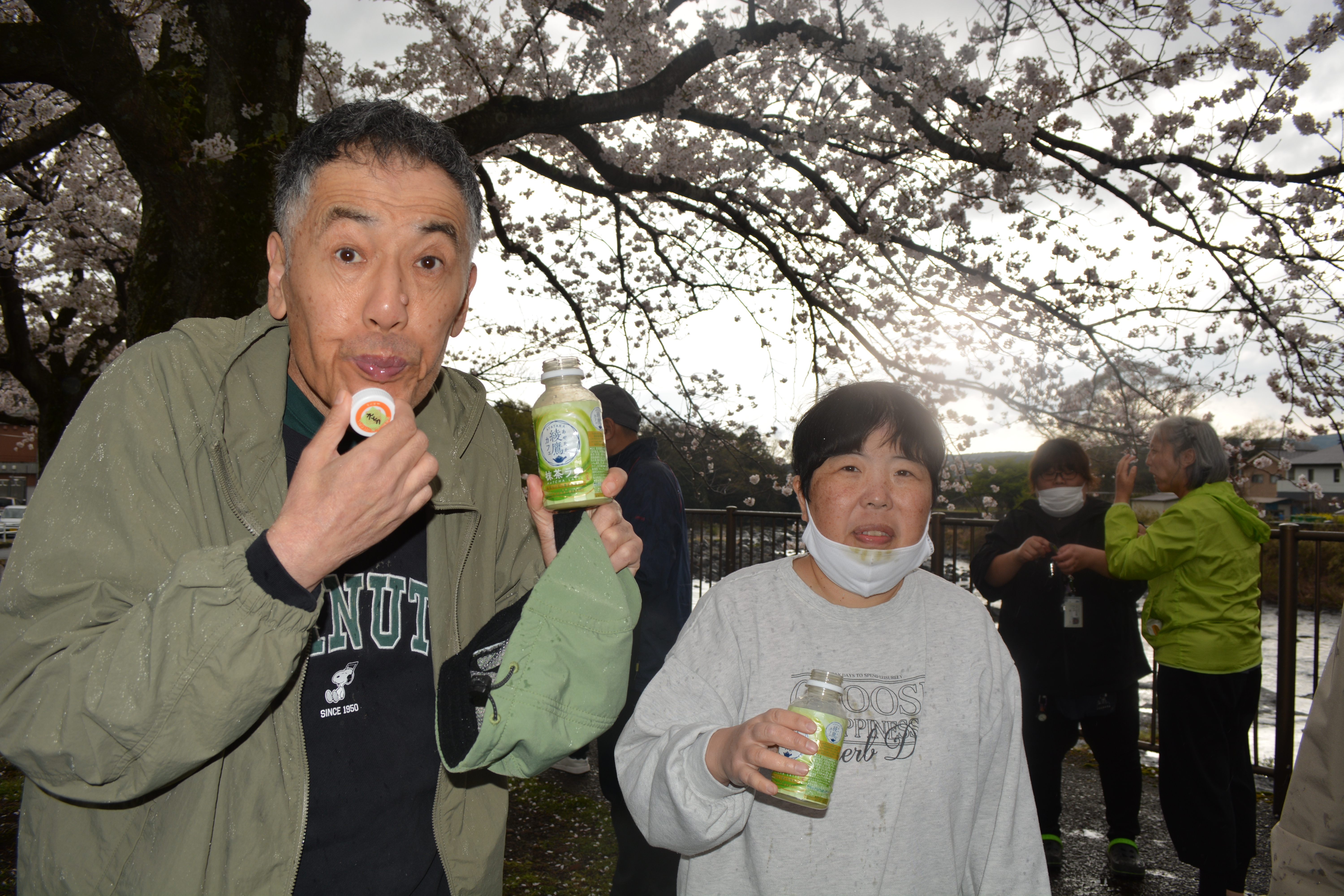 お花見はお茶で乾杯