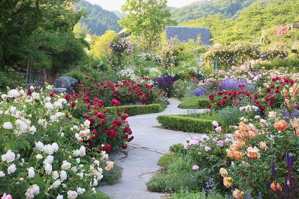 0f4dde7b75a7b028e262579cb4bce0c8