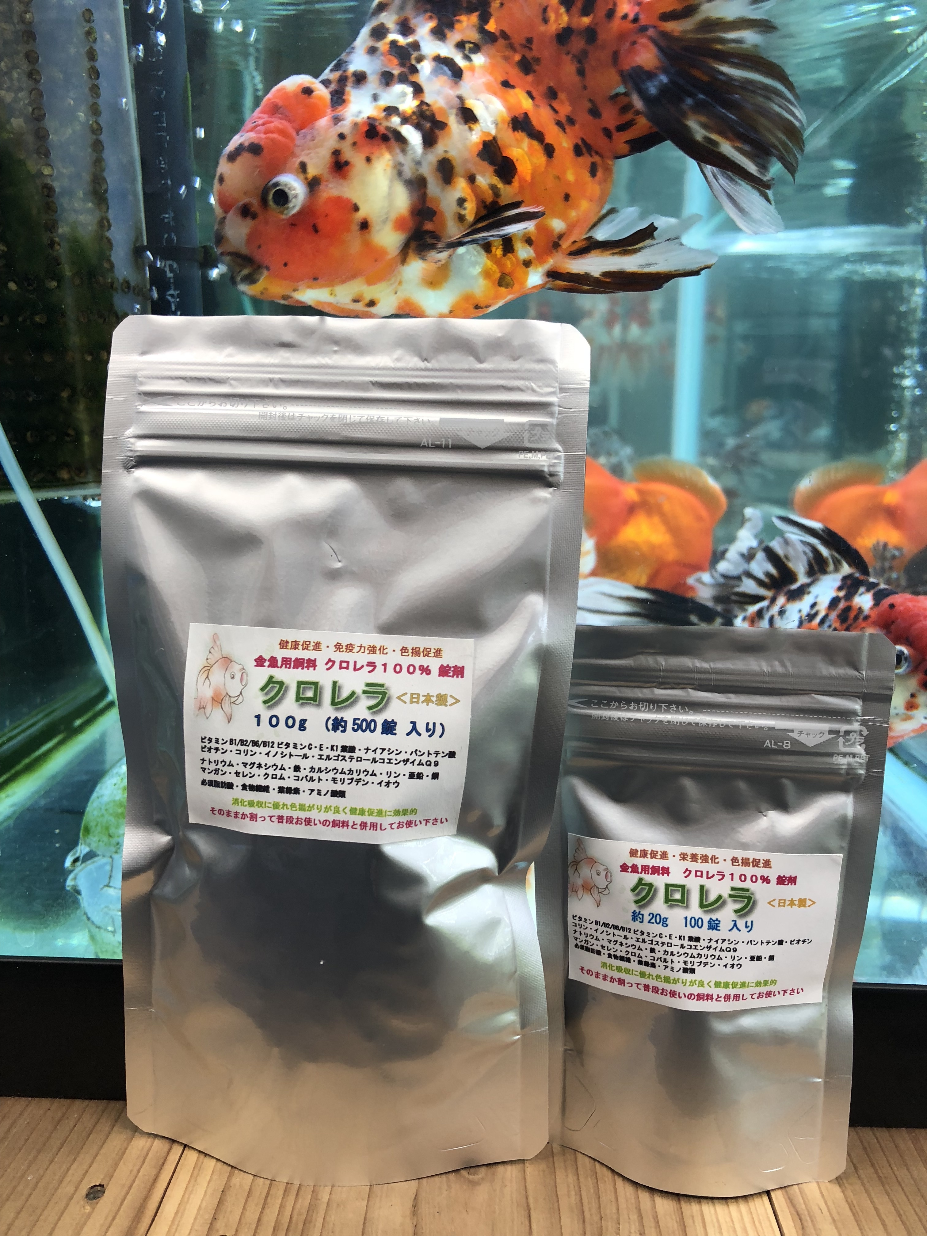 飼育用品 金魚の販売 通販なら佐賀県佐賀市 きんぎょ屋 丸幸 飼育用品 金魚の販売 通販なら佐賀県佐賀市 きんぎょ屋 丸幸