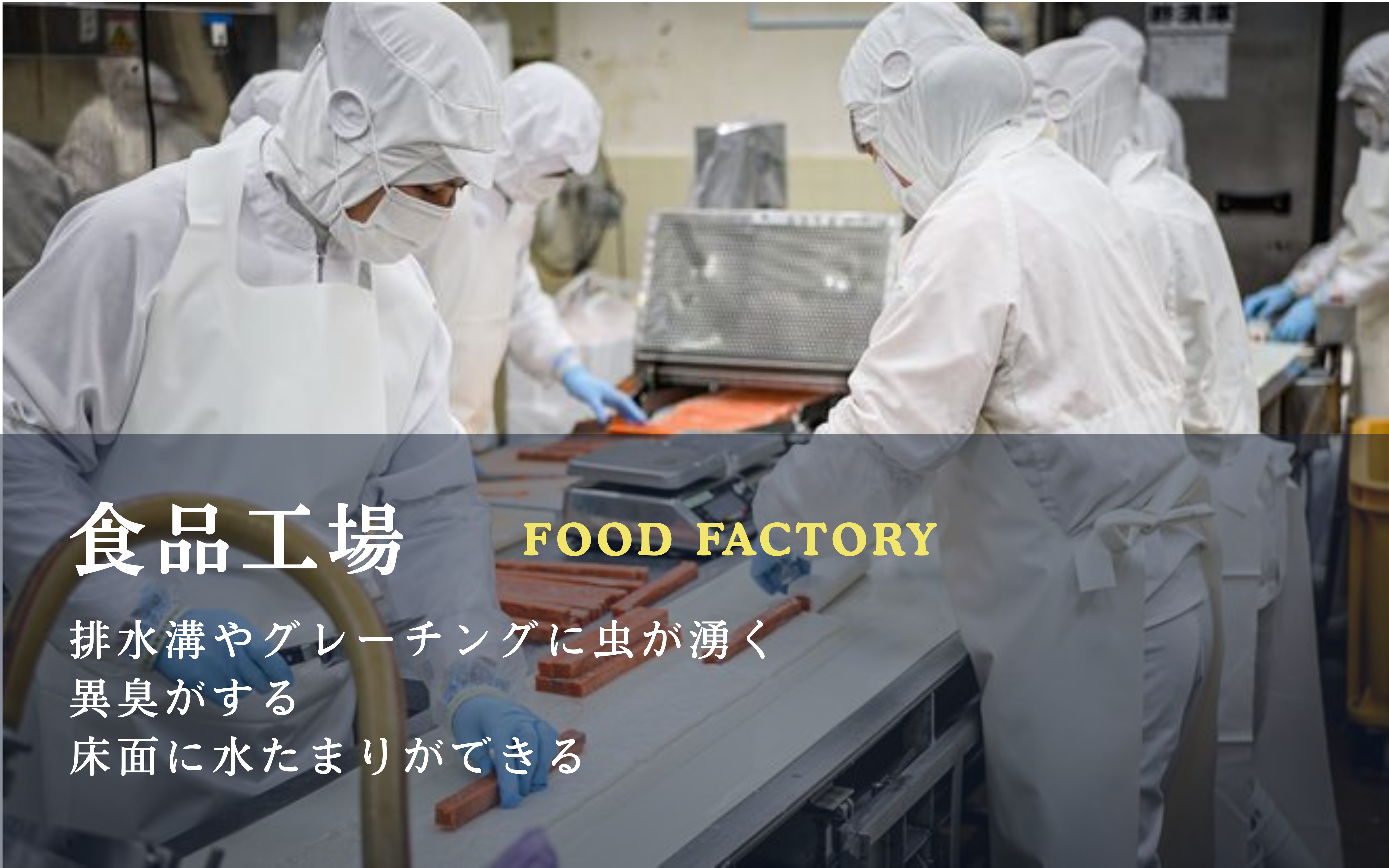 食品工場