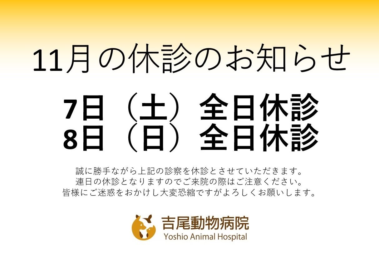 タイトルなし_コピー