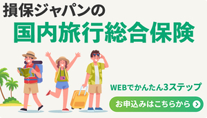 国内旅行総合保険