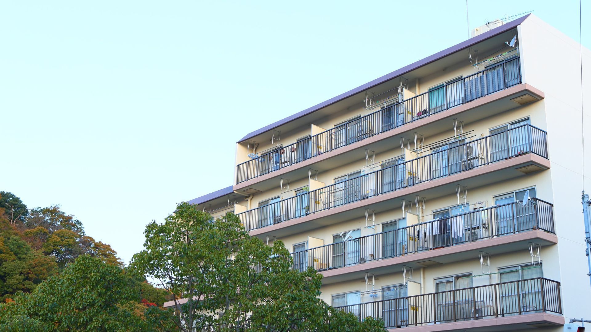 空室クリーニング