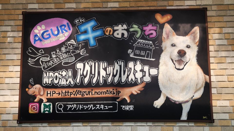 アグリドッグレスキュー活動報告