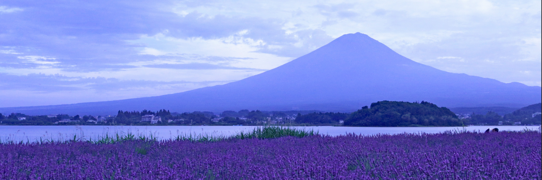 富士とラベンダー