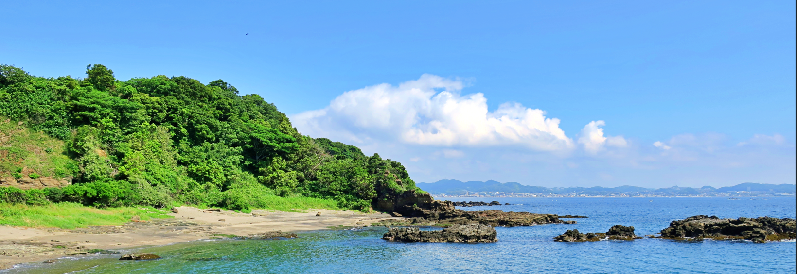 夏