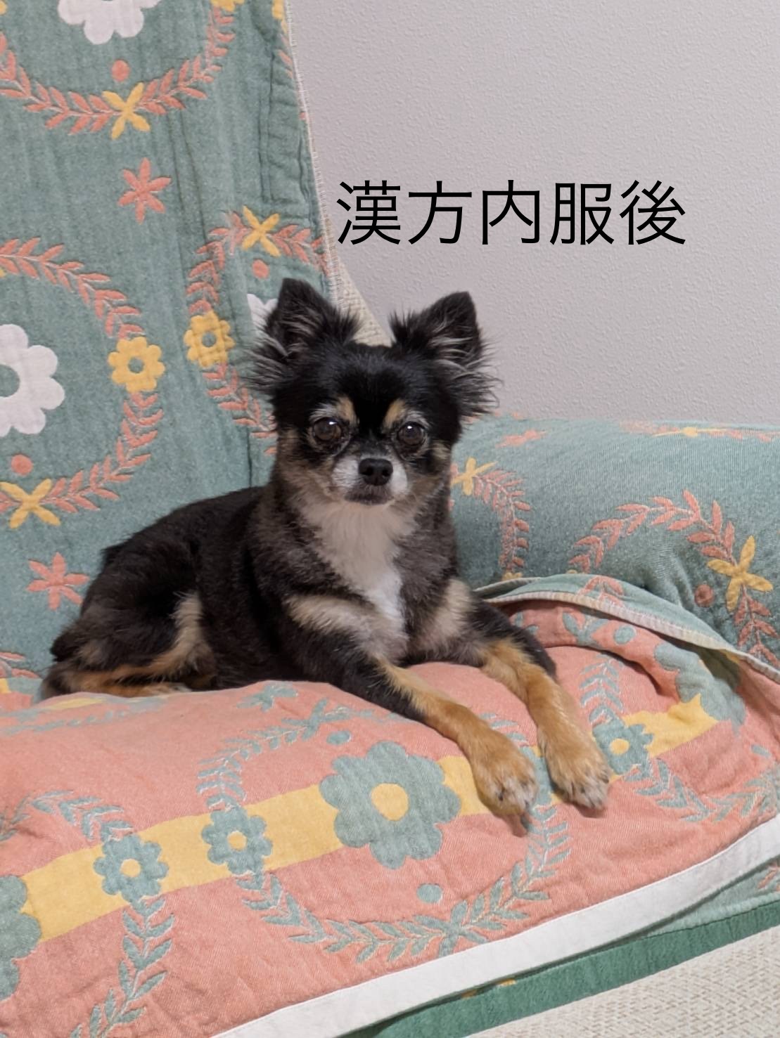 s-1109x1477_v-fms_webp_7231b637-e7a5-4c71-b031-b65d9e0d5f12