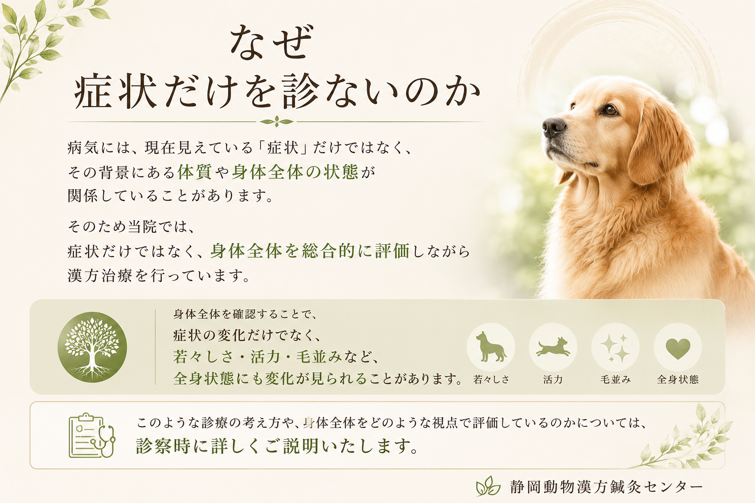 なぜ症状だけを診ないのかホームページ