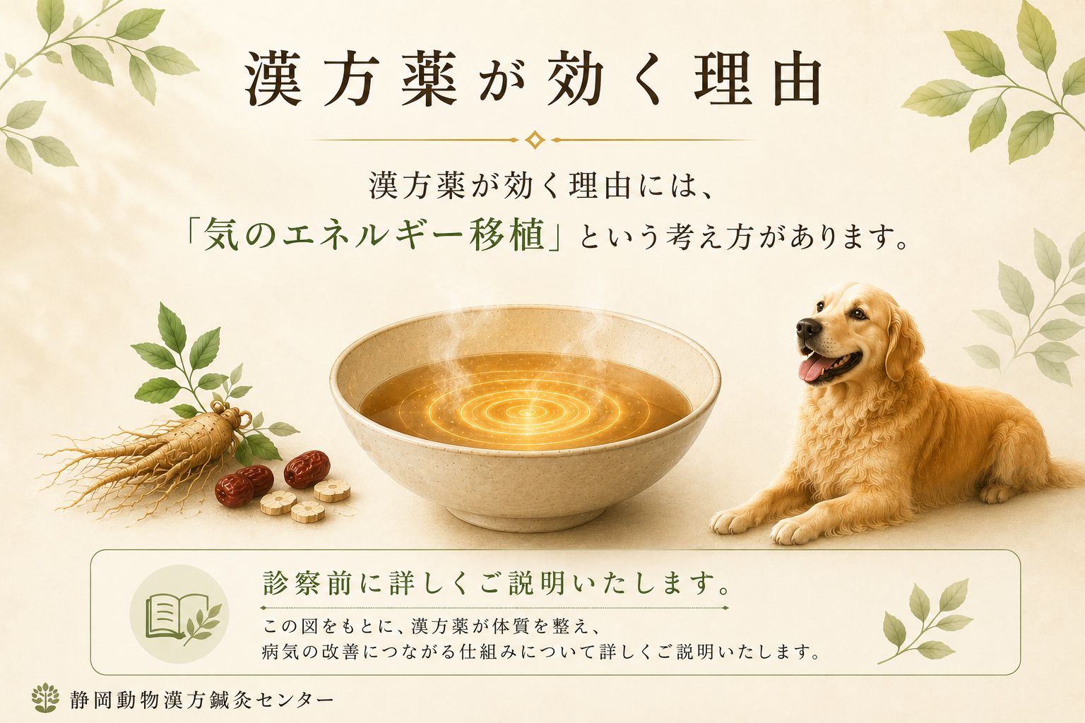 漢方薬が効く理由ホームページ２