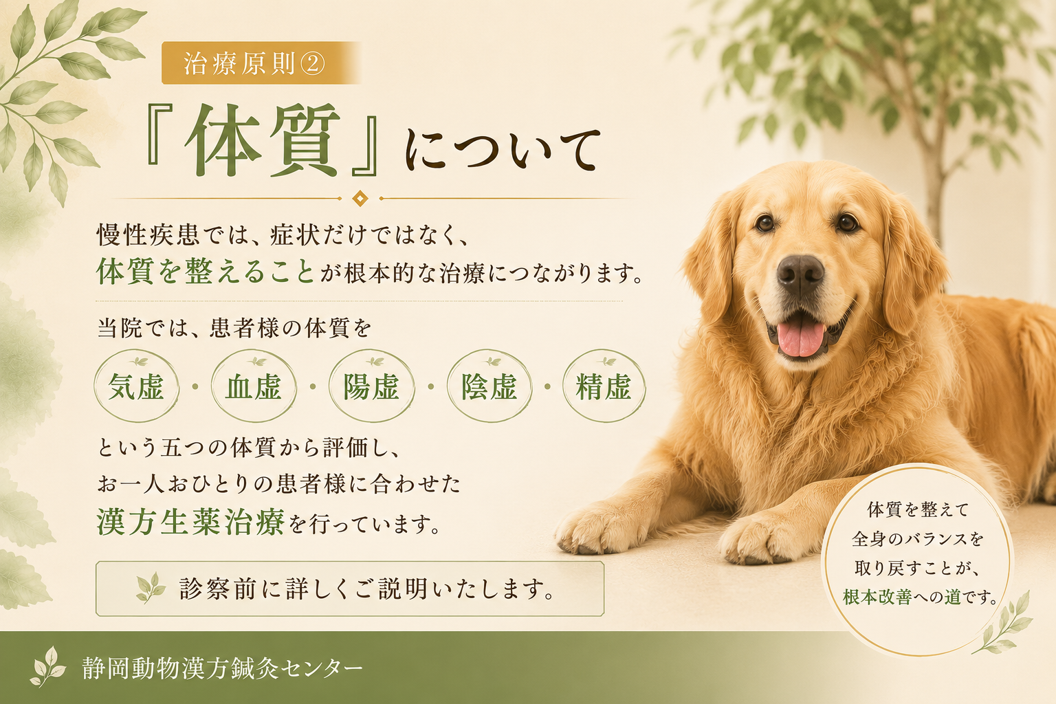 体質についてホームページ