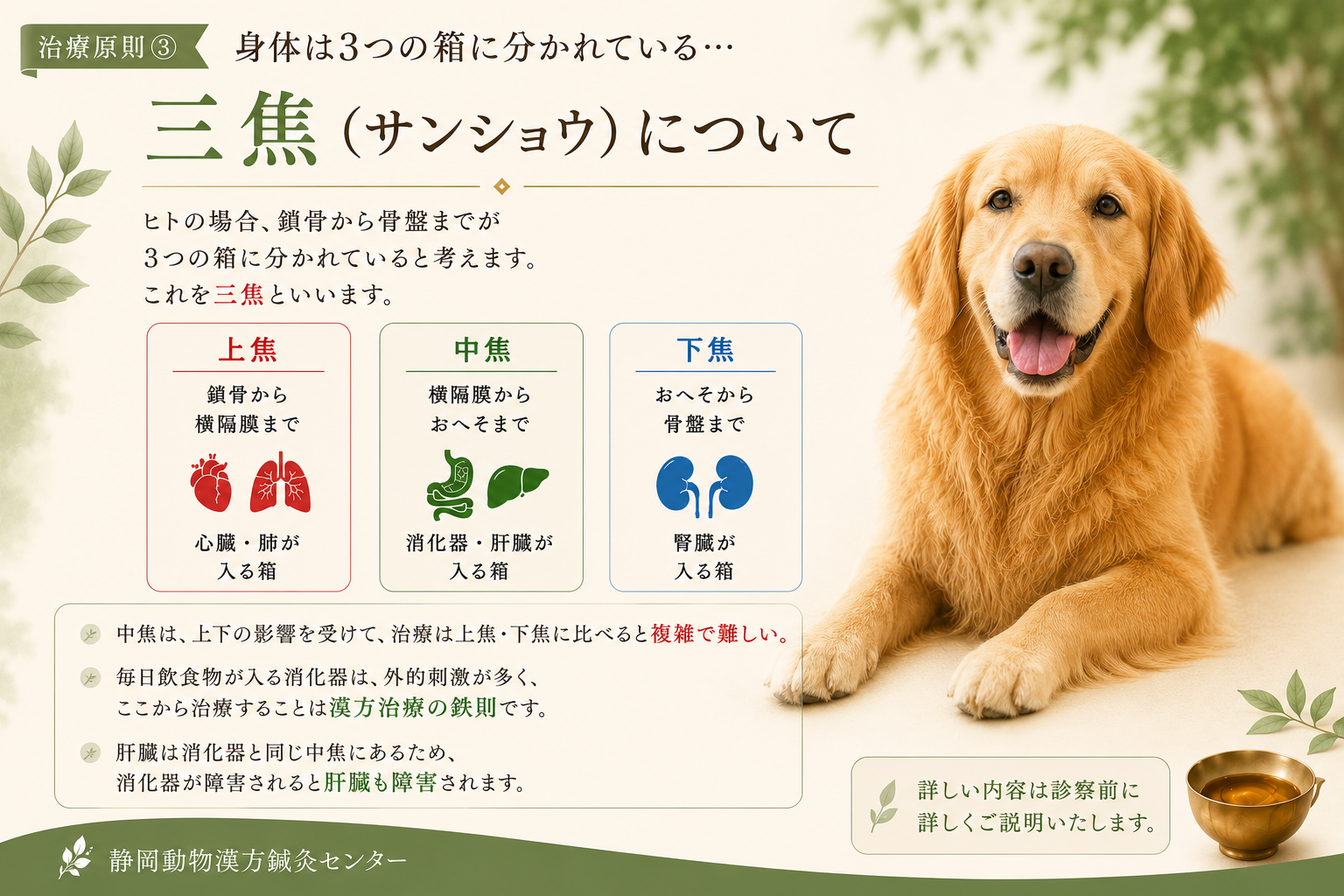 体は三つの箱に分かれているホームページ