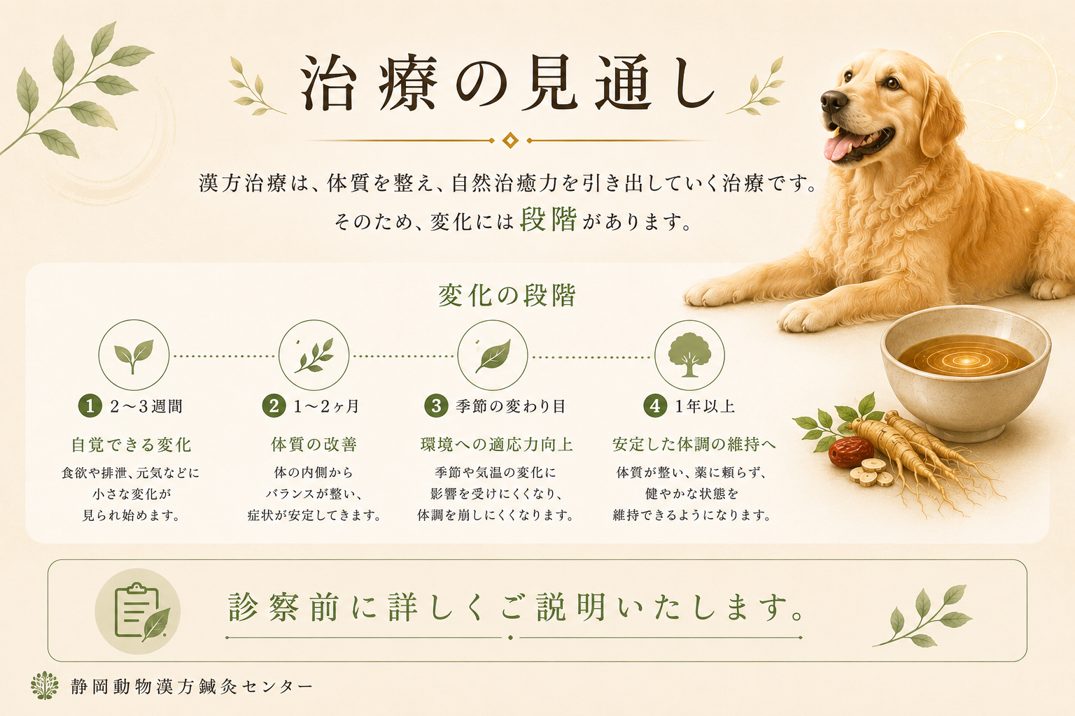 治療開始２週間で・・・ホームページ