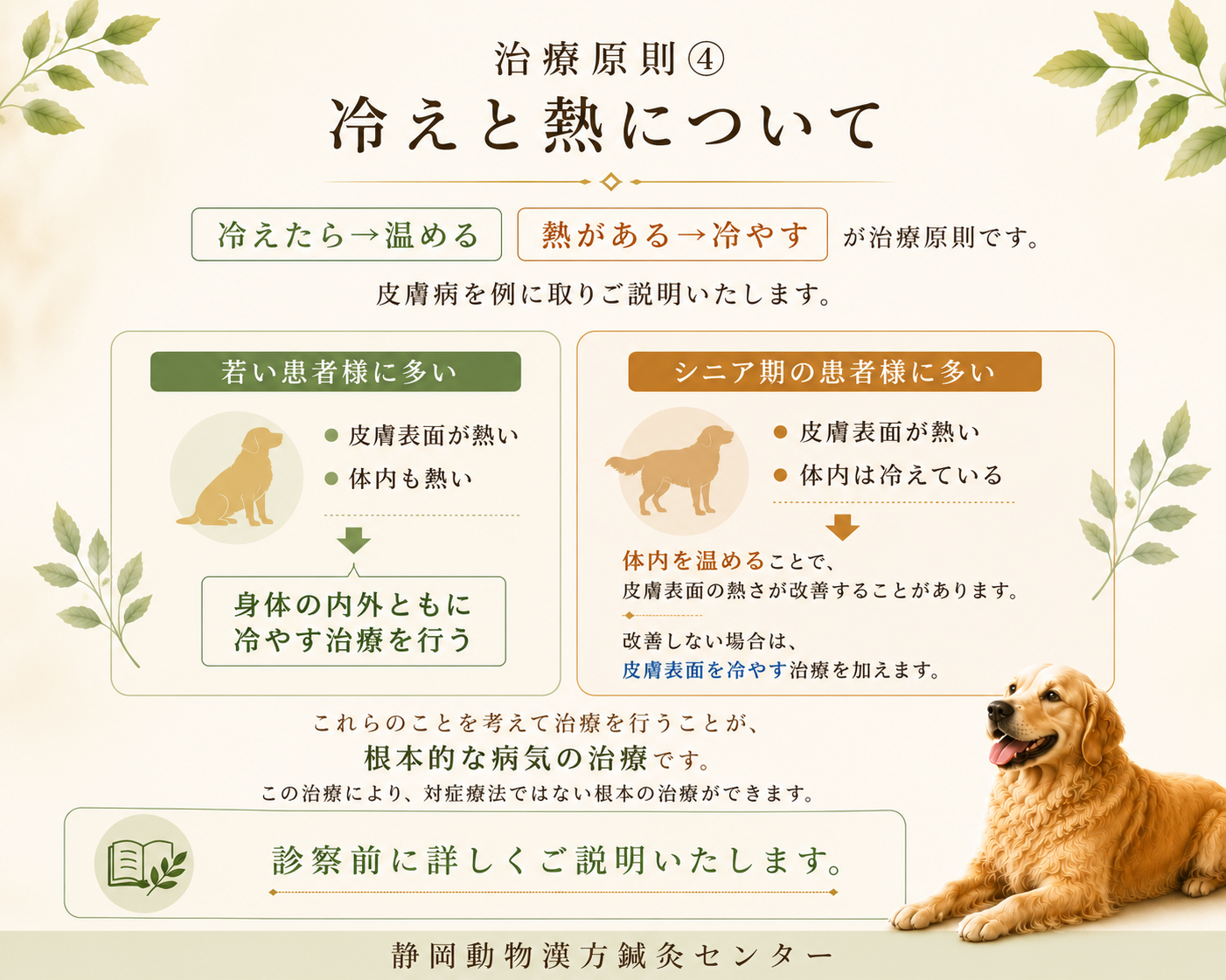 治療原則④冷えと熱HP