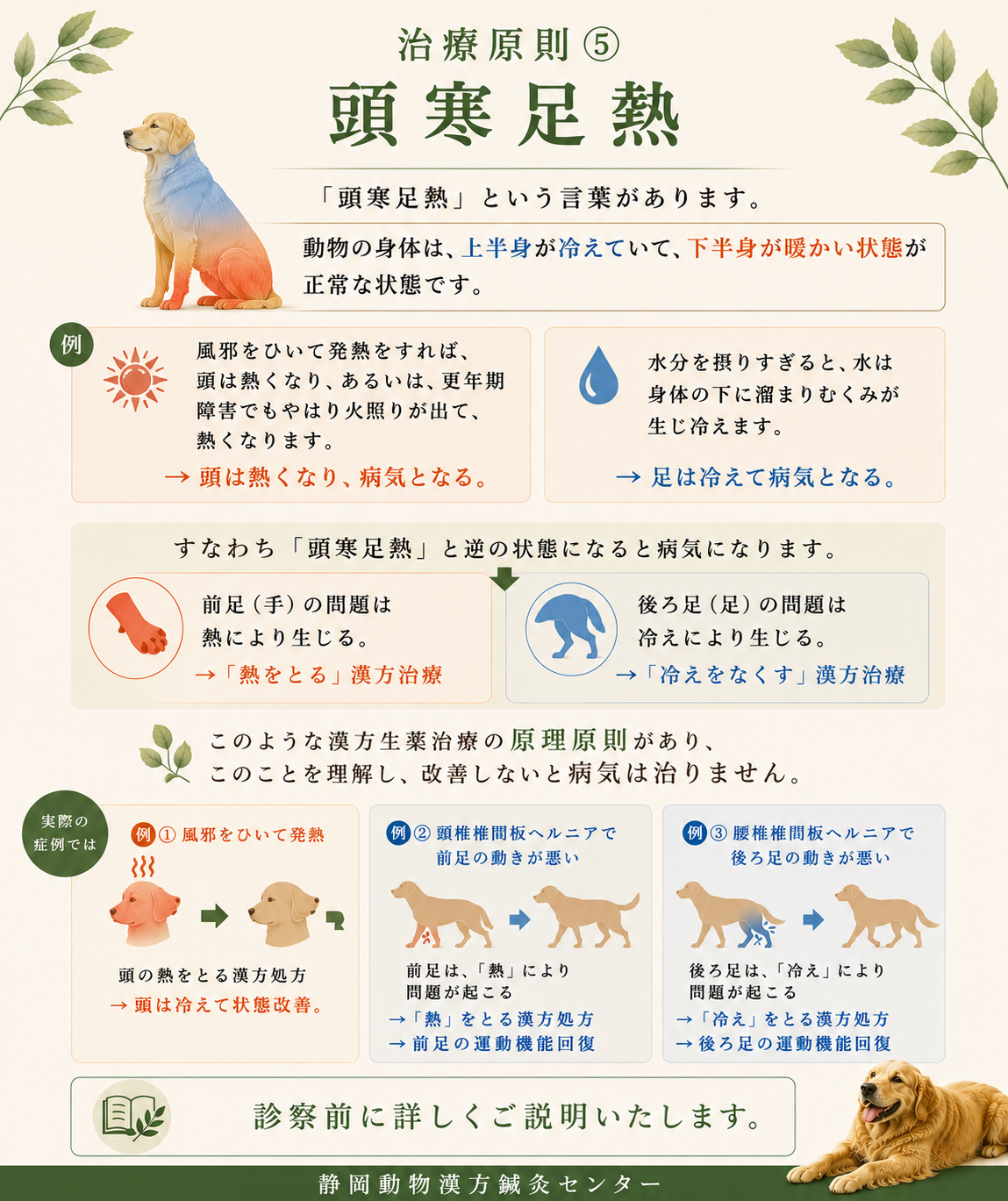 治療原則⑤頭寒足熱HP