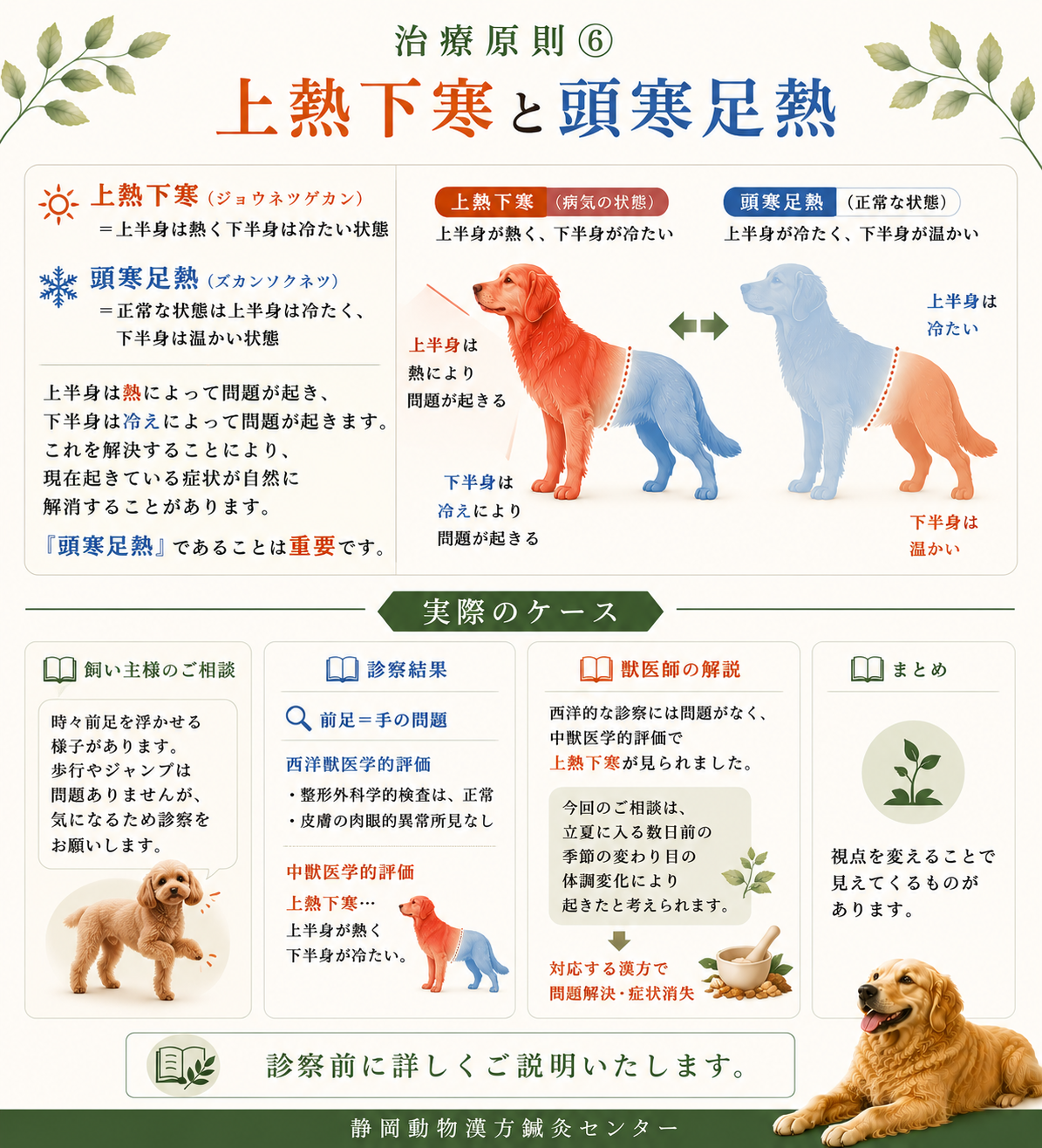 治療原則⑥上熱下寒HP