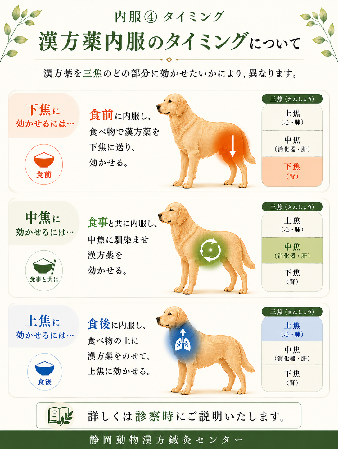 内服④漢方薬内服のタイミングHP