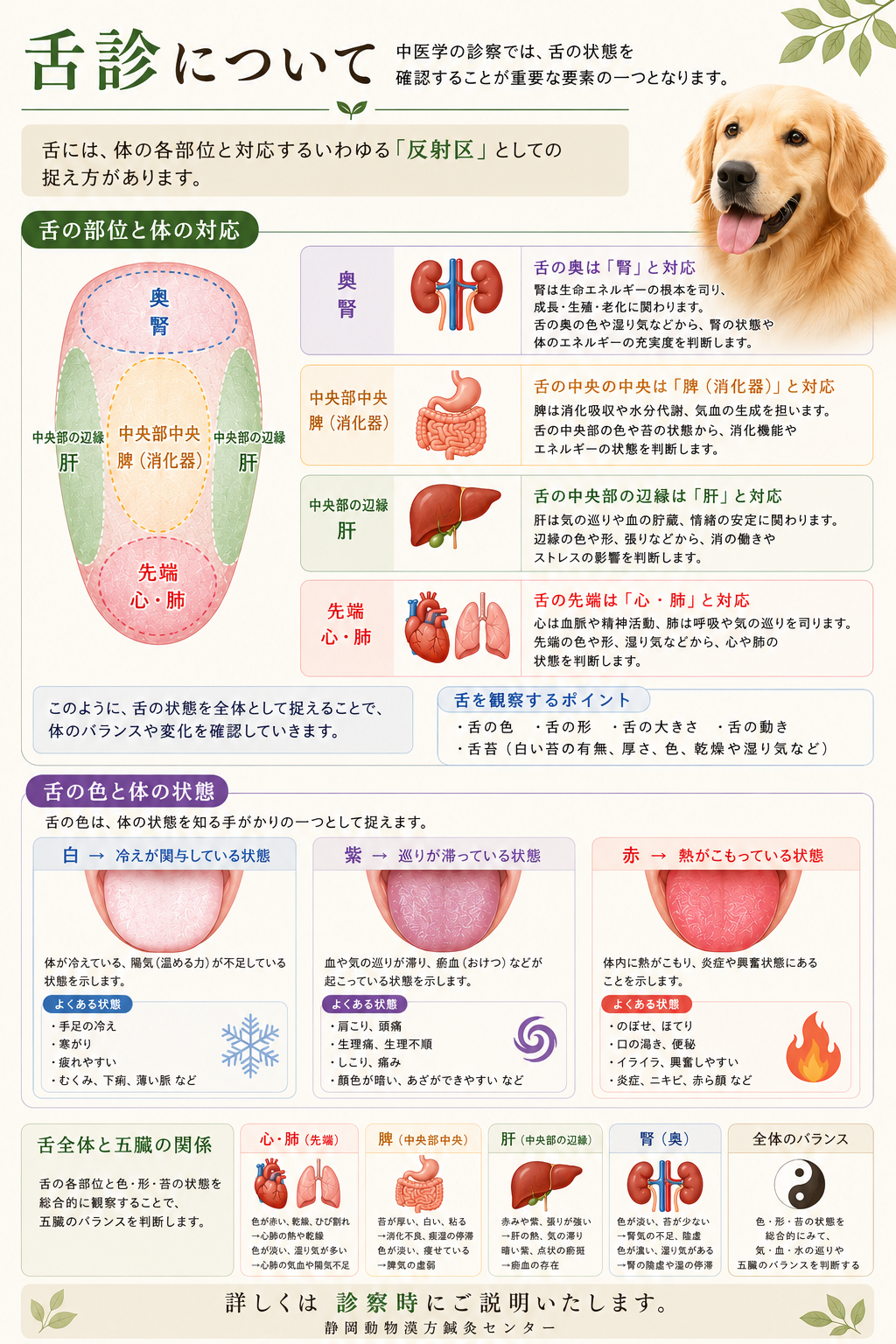 診察②舌の診察HP
