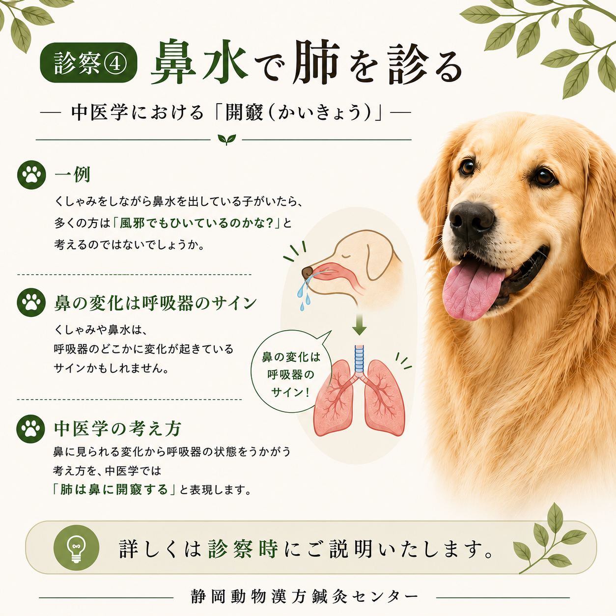 診察④鼻水で肺を診るHP
