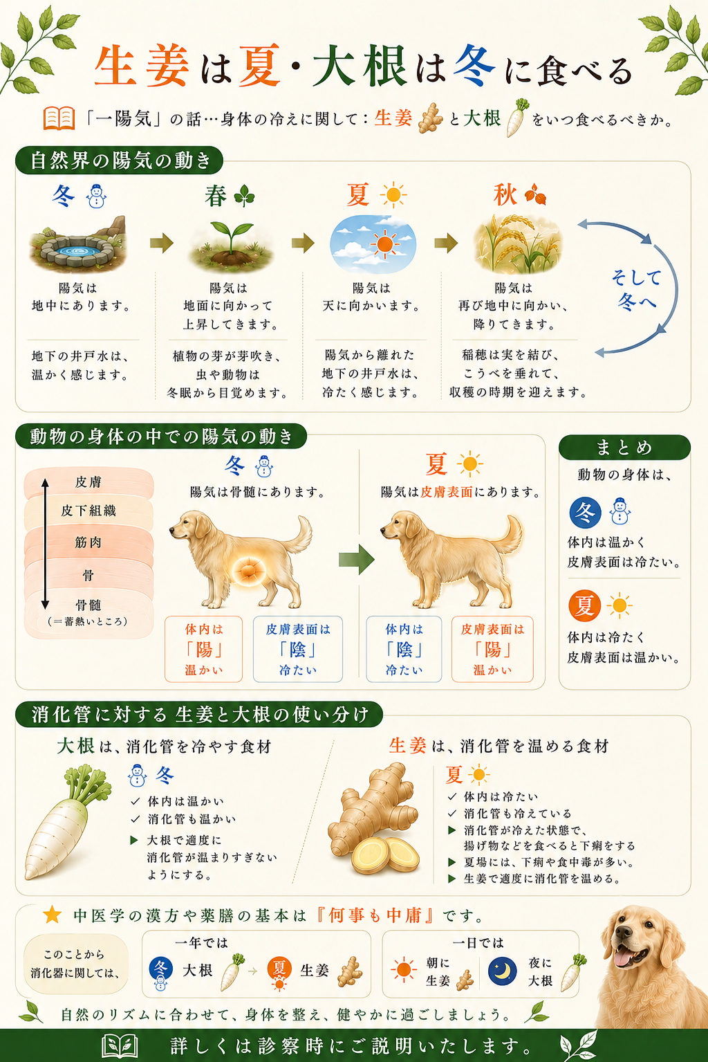 季節との関係③生姜は夏・大根は冬に食べるHP