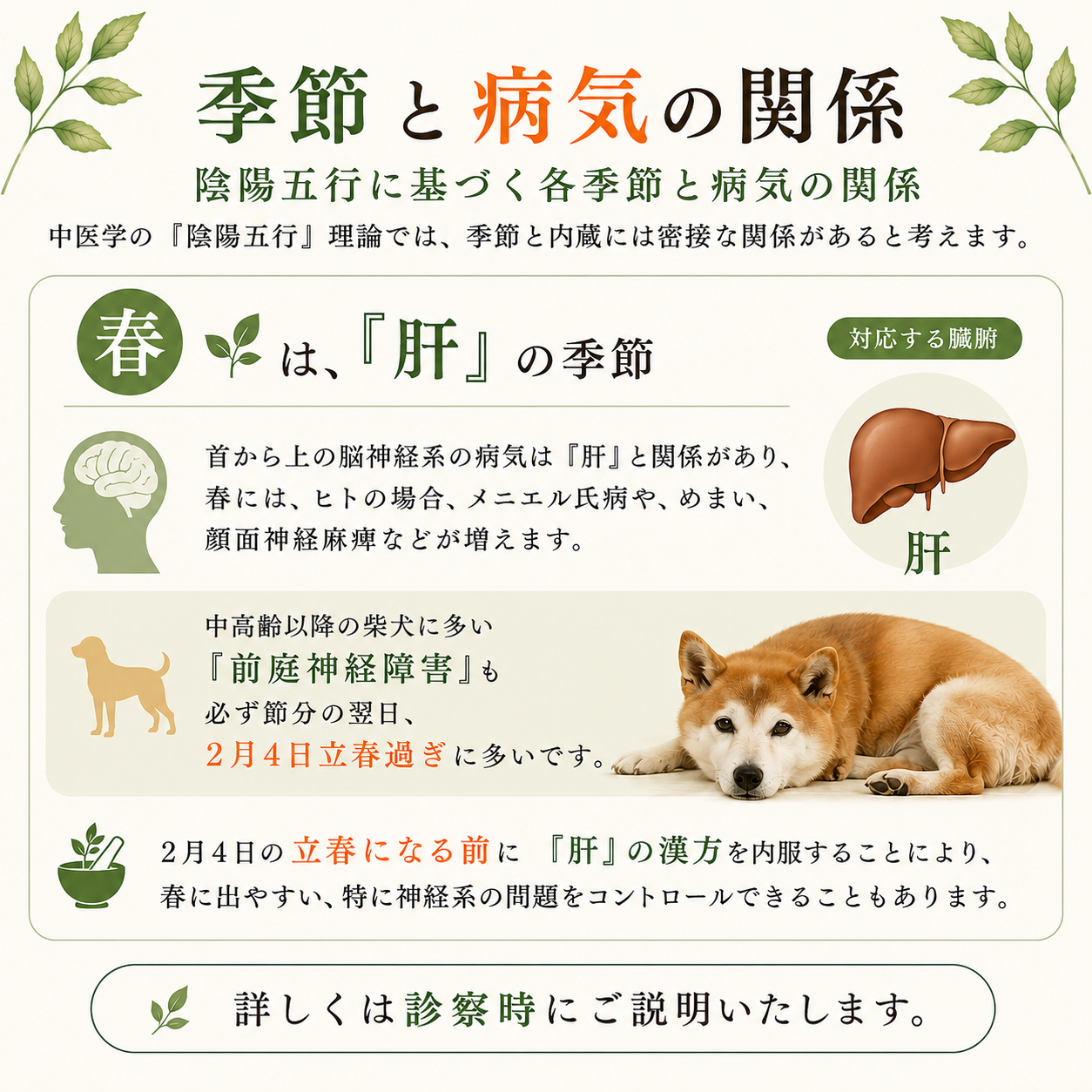 季節との関係④季節と病気の関係-春と肝HP