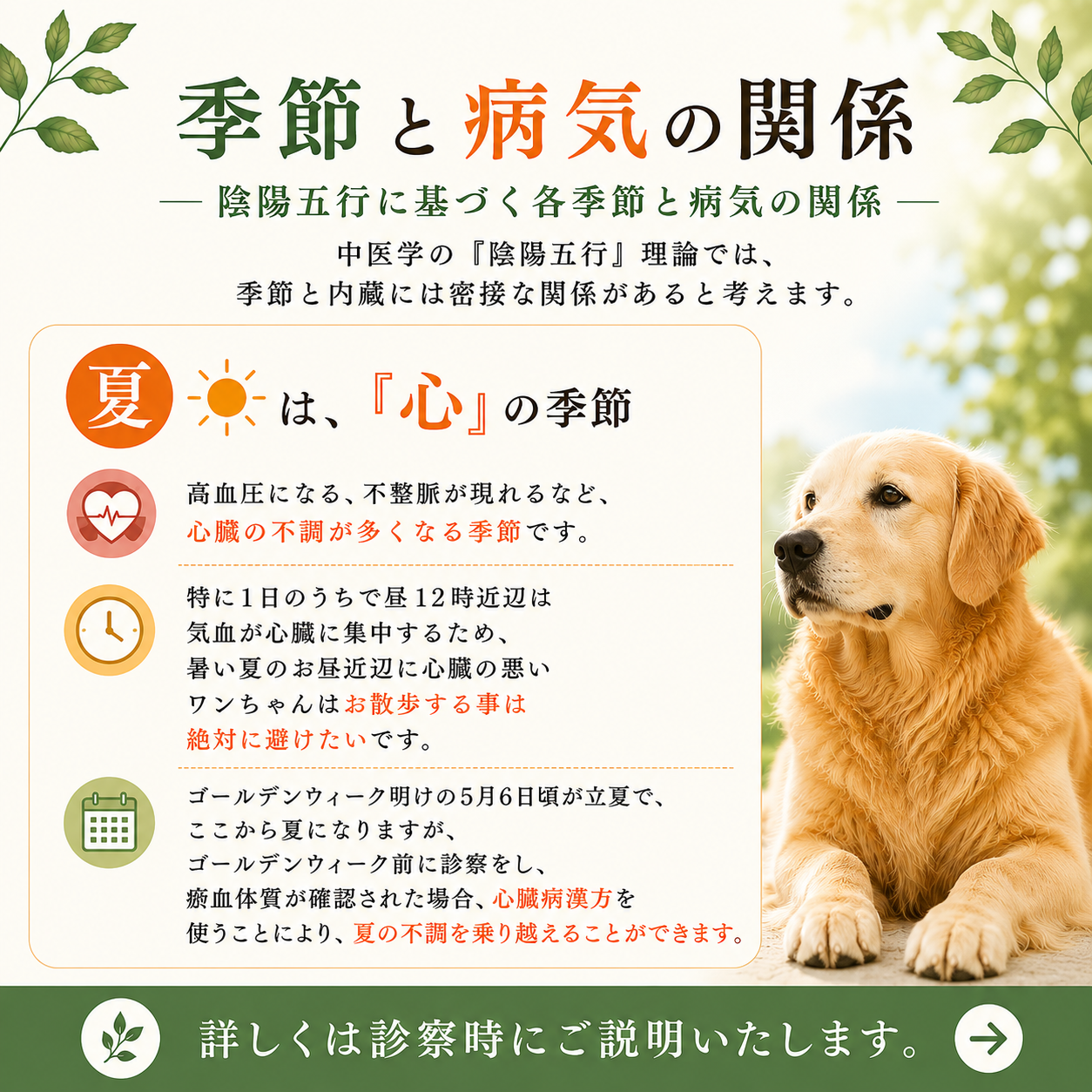 季節との関係④季節と病気の関係-夏と心HP