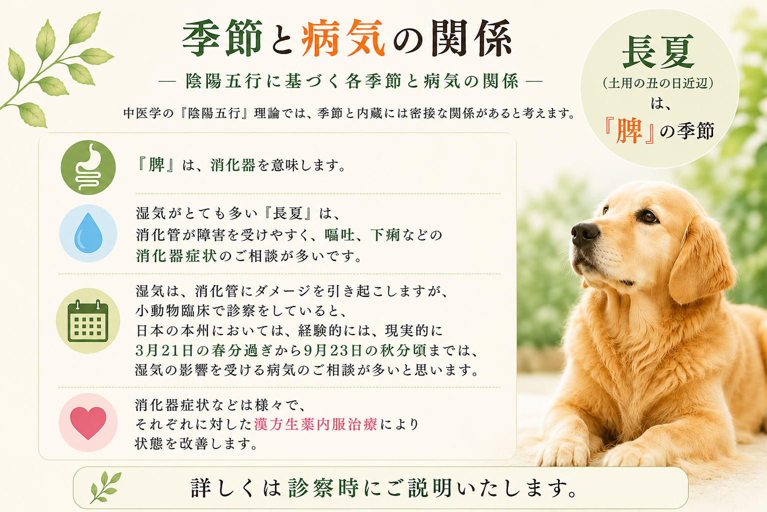 季節との関係④季節と病気の関係-長夏と消化器HP