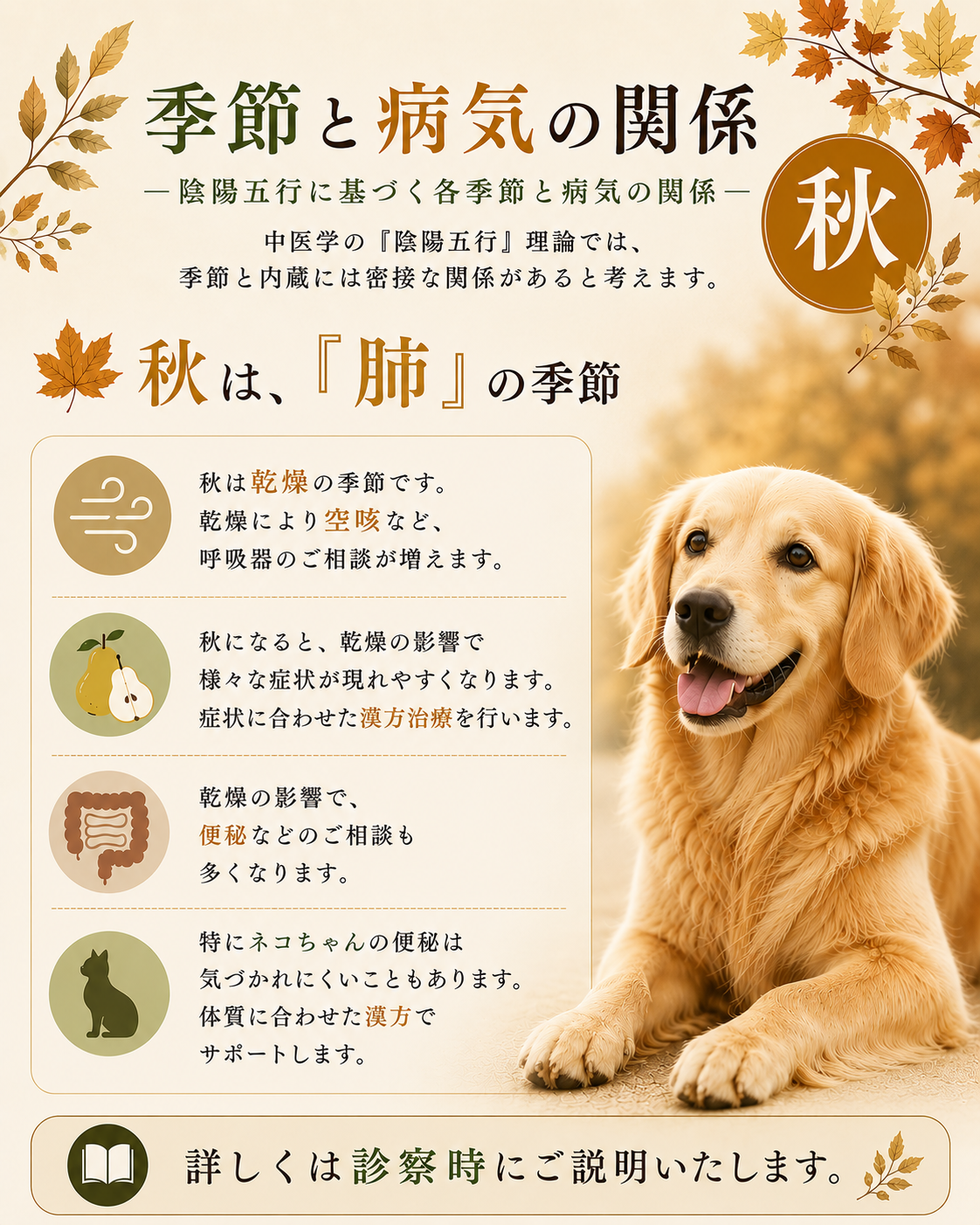 季節との関係④季節と病気の関係-秋と肺HP