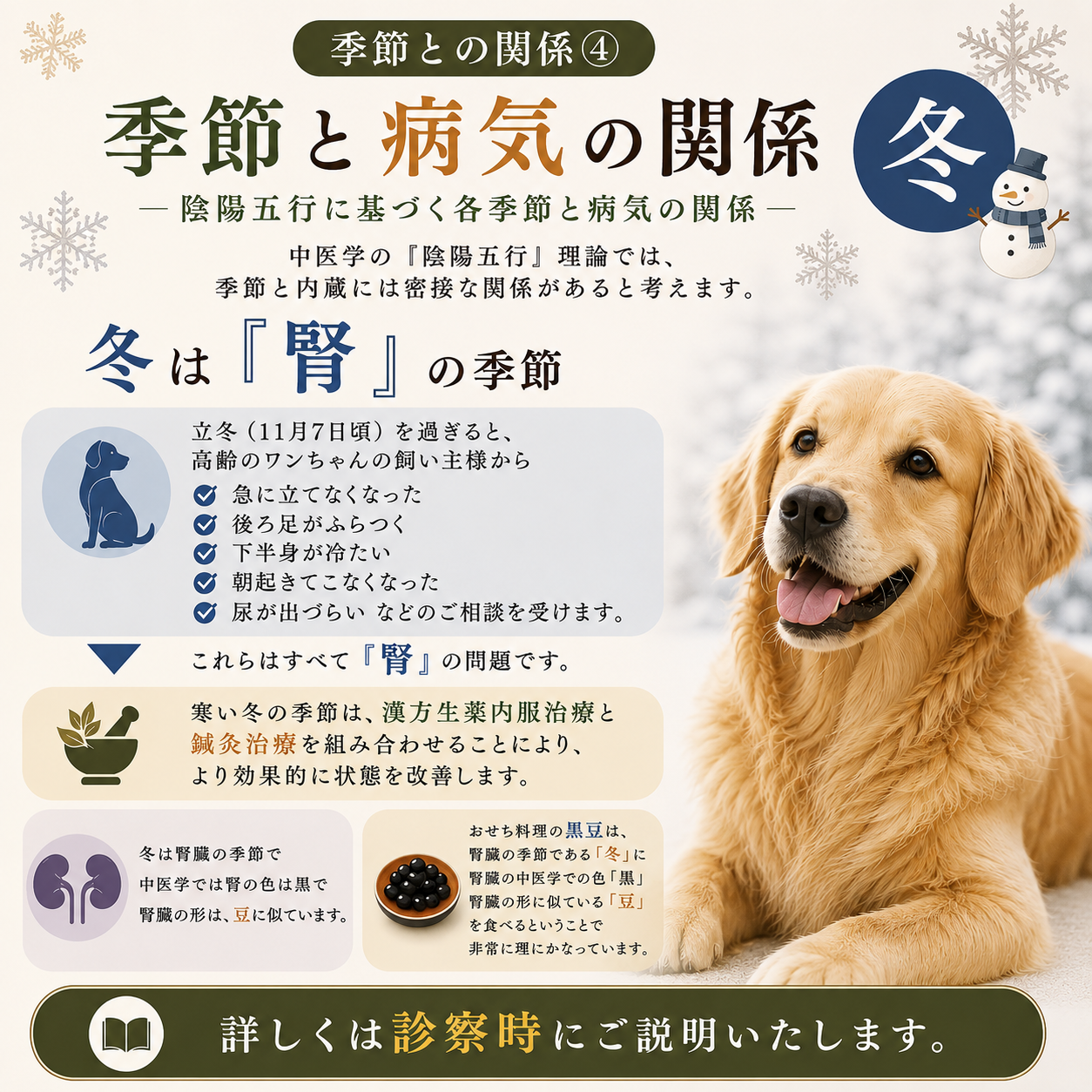季節との関係④季節と病気の関係-冬と腎HP