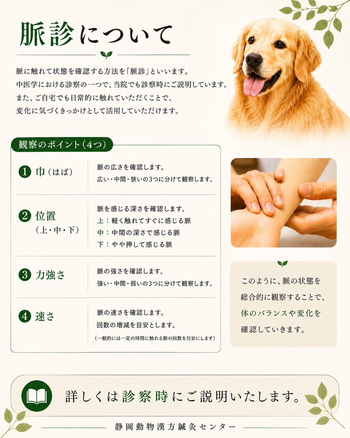  診察③脈診の基礎HP