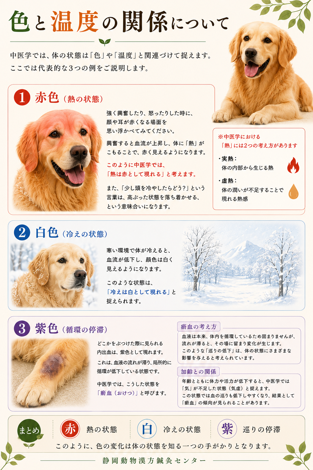診察⑤色と温度の関係